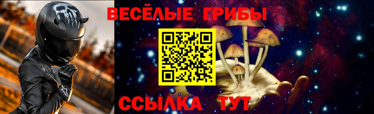 Грозный  закладки  Вход с VPN  Галлюциногенные грибы MAGIC MUSHROOMS 