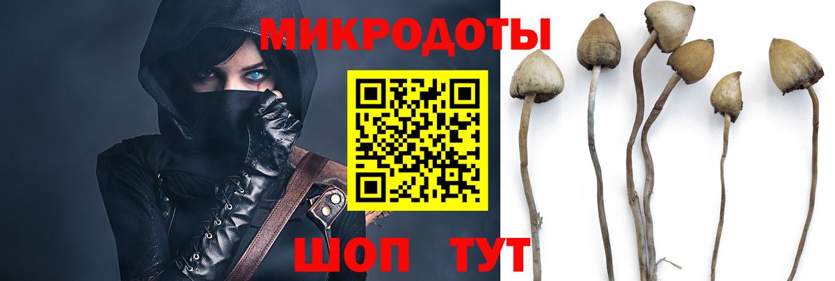 Галлюциногенные грибы мицелий Грозный